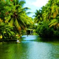 KERALA1200