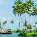 10-best-tourist-places-to-visit-in-Kerala-and-things-to-do