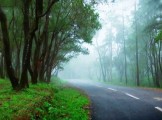 ponmudi-in-kerala
