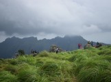 Trekking_and_the_Ponmudi_Hills_2285
