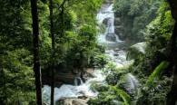 ponmudi-meenmutty-waterfalls