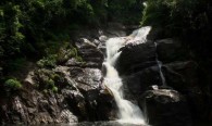ponmudi-golden-valley