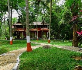 ponmudi-resort-river-country-resort