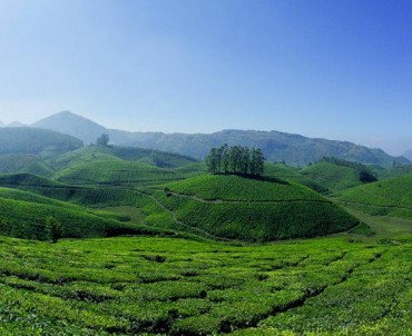 munnar_keralatourism_750