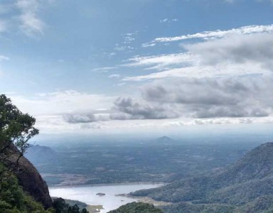 nelliyampathy_nature