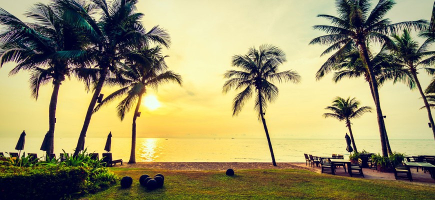 kerala-tourism-trivandrum-palm-tree-beach-sea