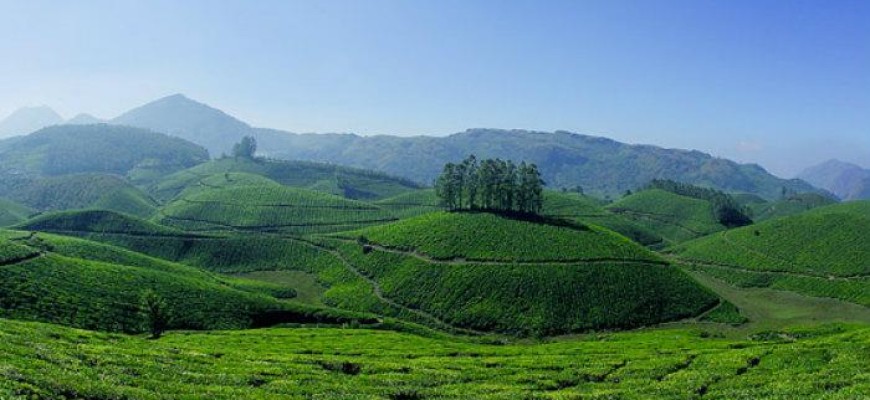 munnar_keralatourism_750