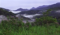 Silent Valley National Park