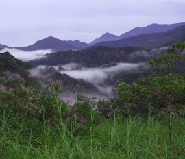 Silent Valley National Park