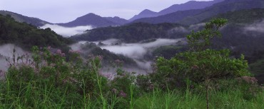 Silent Valley National Park