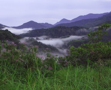 Silent Valley National Park