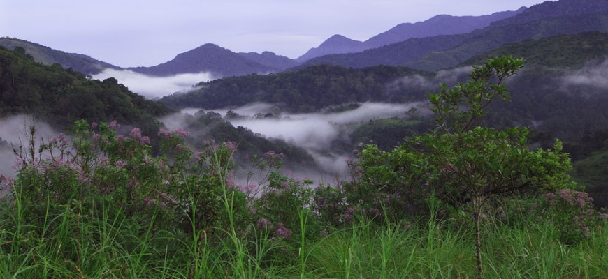 Silent Valley National Park